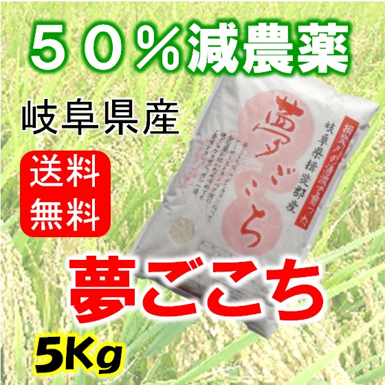 令和７年産　夢ごこち　白米５Kg（分搗き可）の画像