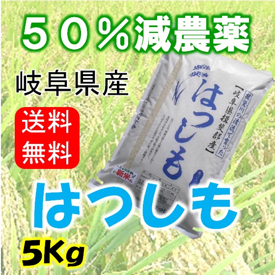 令和７年産　ハツシモ　白米５Kg（分搗き可）の画像