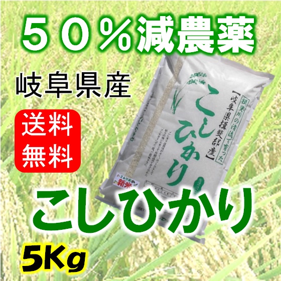 令和７年産　コシヒカリ　５Kg（分搗き可）の画像