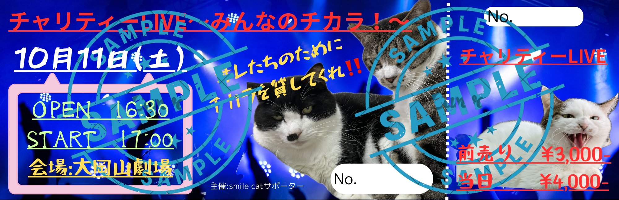 チャリティーLIVEチケットの画像