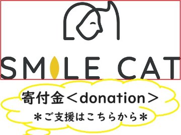 寄付金＜donation＞の画像