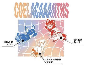 ☆3選手の愛犬デザイン☆シーラカーンズミニタオル画像