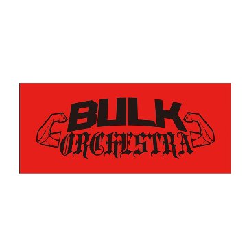【初代ロゴ】BULK ORCHESTRA LOGO 応援タオル画像