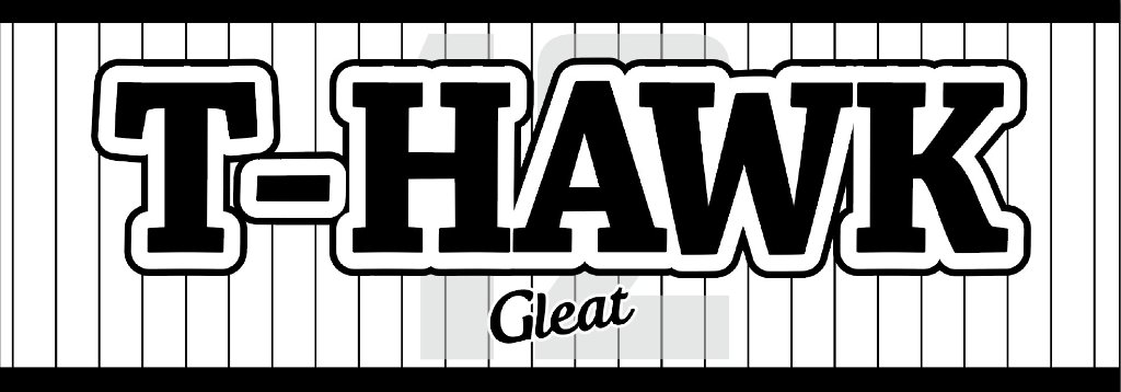 【S12】T-Hawk 凱旋大会記念 応援タオルの画像