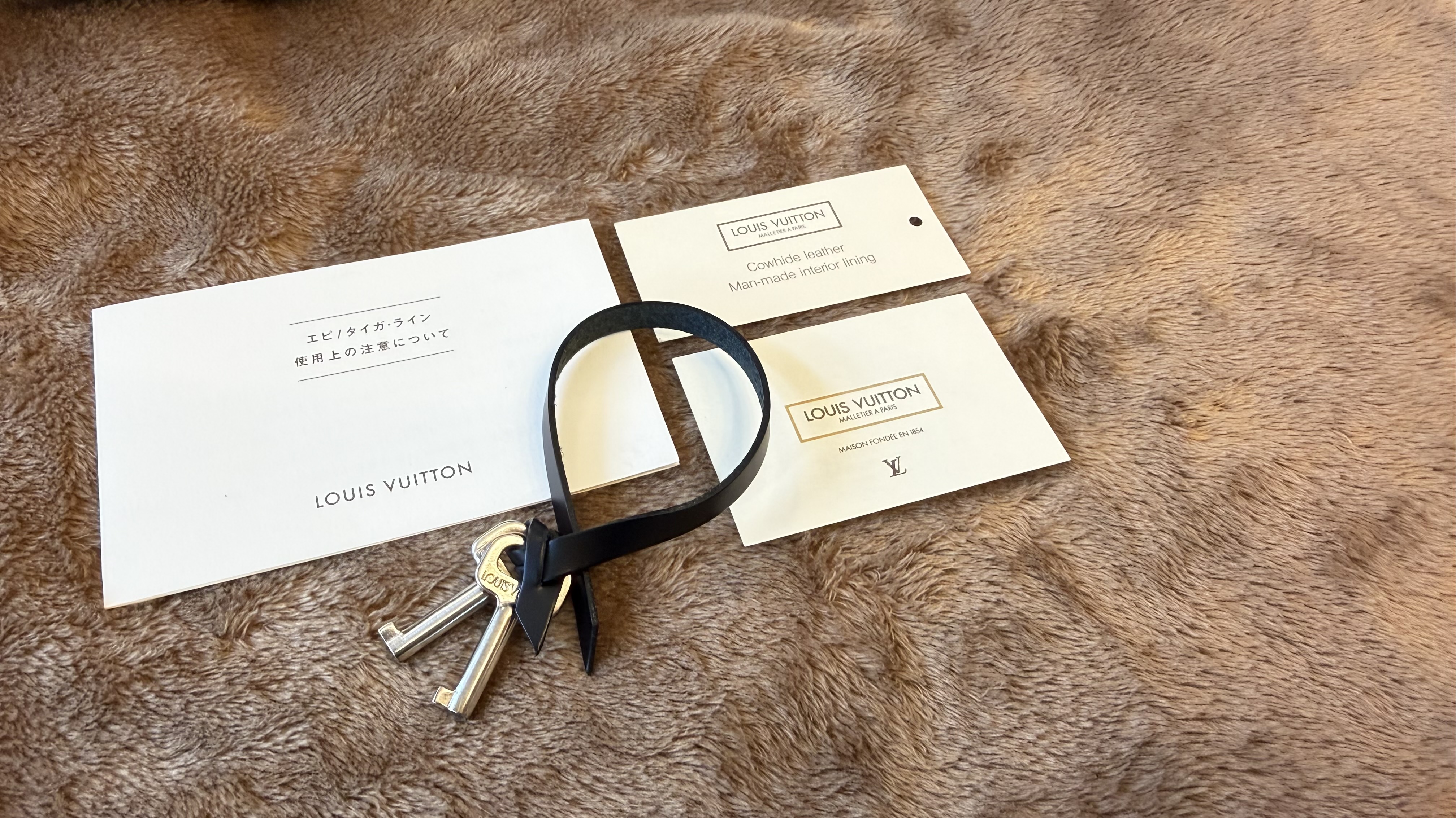 LOUIS VUITTON(ルイヴィトン) タイガ ロブスト２ M31042 ビジネスバッグ 書類鞄の画像