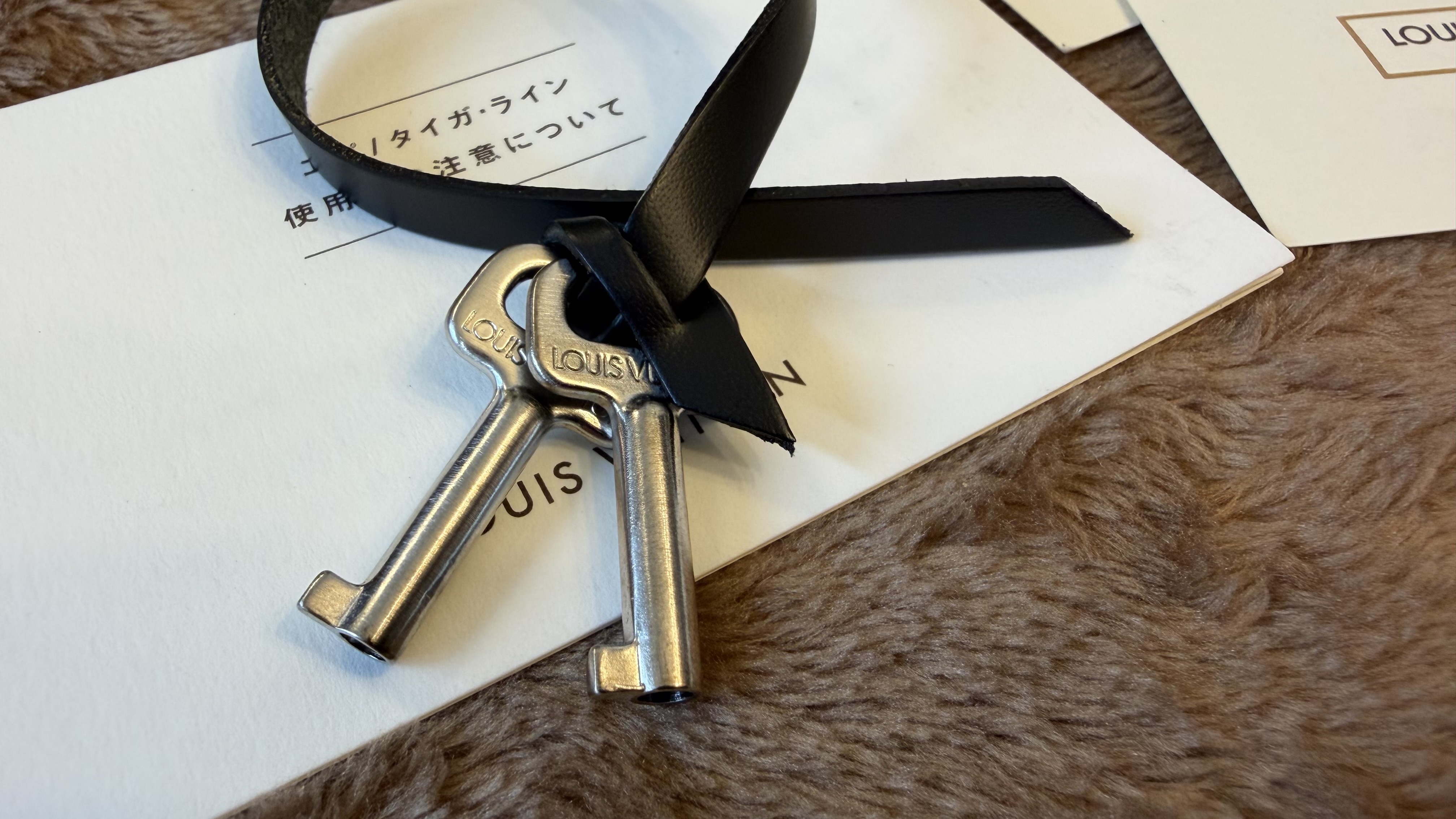 LOUIS VUITTON(ルイヴィトン) タイガ ロブスト２ M31042 ビジネスバッグ 書類鞄の画像