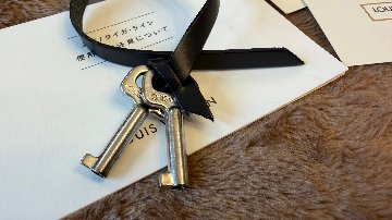 LOUIS VUITTON(ルイヴィトン) タイガ ロブスト２ M31042 ビジネスバッグ 書類鞄の画像