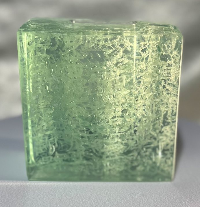 紫苑-しおん-(domestic)の画像