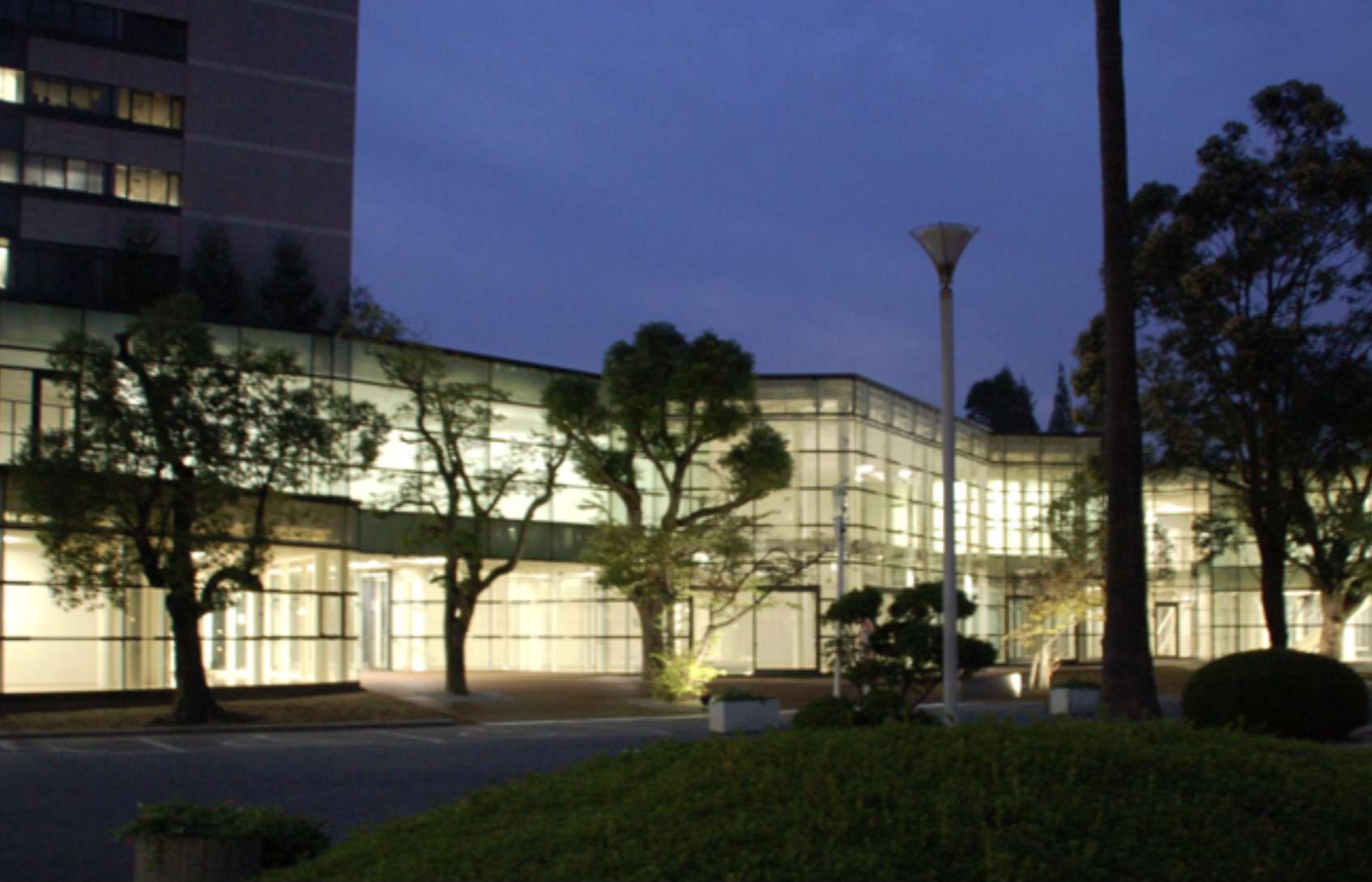 Glass Curtainの画像