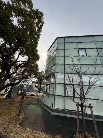 Glass Curtainの画像