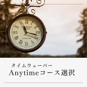 タイムウェーバーAnytimeコース選択（サブスクリクション）の画像