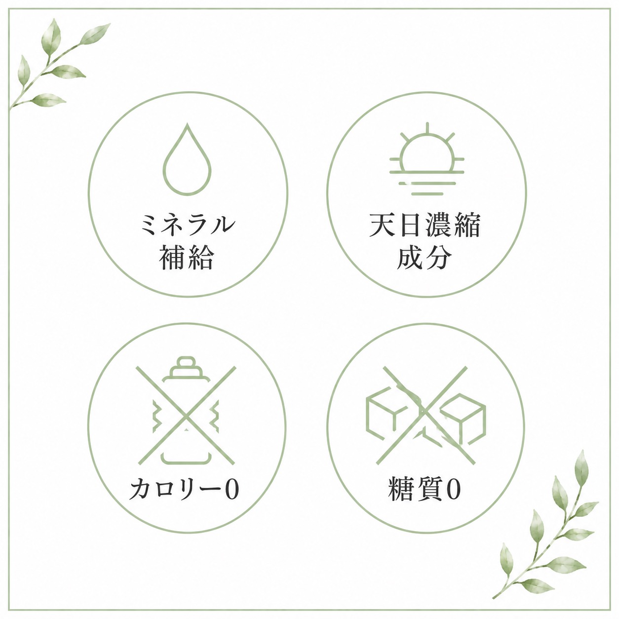 スチームバランスミネラルの画像