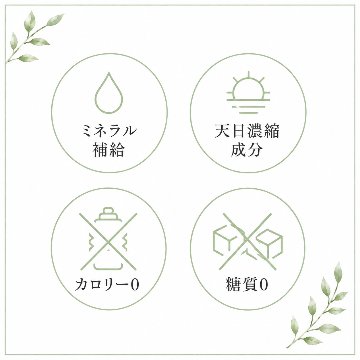 スチームバランスミネラルの画像