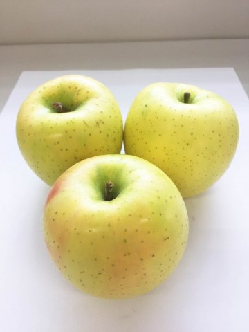 竹嶋さんの りんご(黄王)３kgの画像