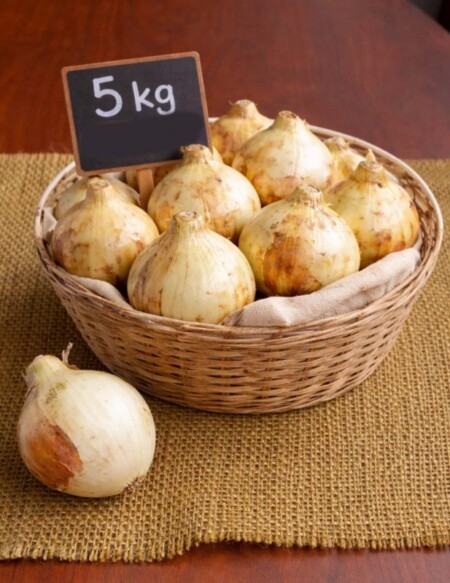 玉ねぎ　5kg   (長野県産)の画像