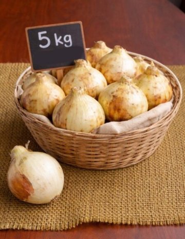 玉ねぎ　5kg   (長野県産)の画像