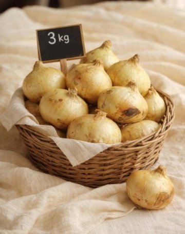 玉ねぎ　3kg　(長野県産)の画像