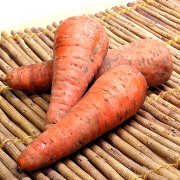 にんじん　500g (北海道産)の画像