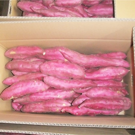 金時さつま芋　5kg　(香川県産)の画像