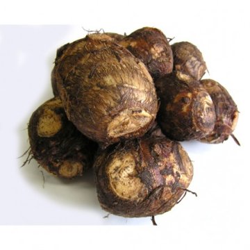 里芋　約300g　(鹿児島県産)の画像