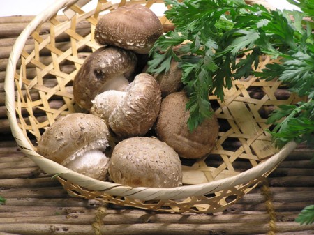 生椎茸100g(新潟県産)の画像