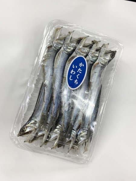 ◎かたくちいわし　若干し　150g　冷凍の画像