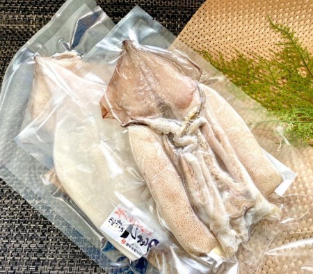 ◎橘水産)真いか干し　1枚　　冷凍の画像