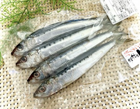 ◎橘水産)いわし丸干し　4尾入　　冷凍の画像