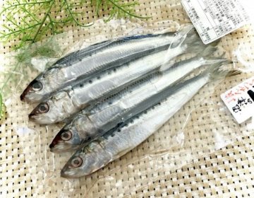 ◎橘水産)いわし丸干し　4尾入　　冷凍の画像