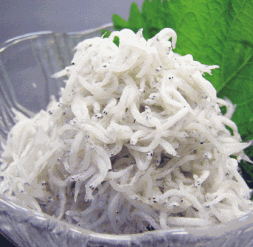 ◎釜揚げしらす(和歌山県産)　100g　冷凍の画像