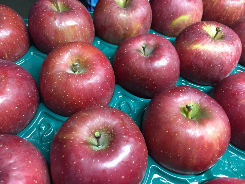 無袋　ふじ5kg　16～20個　１箱　家庭用の画像