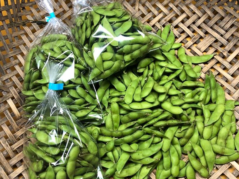 茶豆（枝豆）2kgの画像