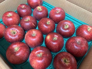 紅いわて　無袋　18～20個　5K　家庭用の画像