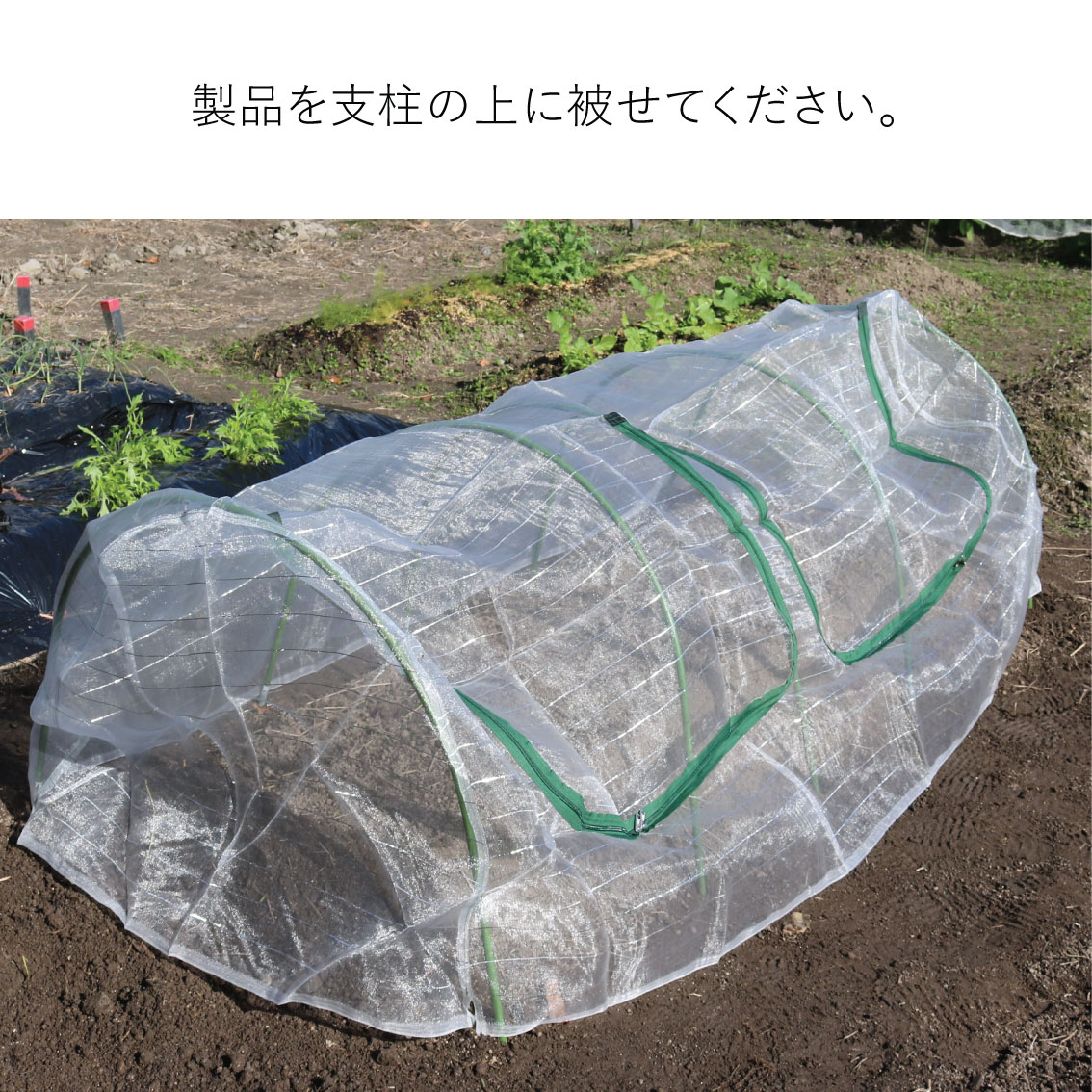 菜園用らくらく防虫ネット　2M（作業窓2カ所）の画像