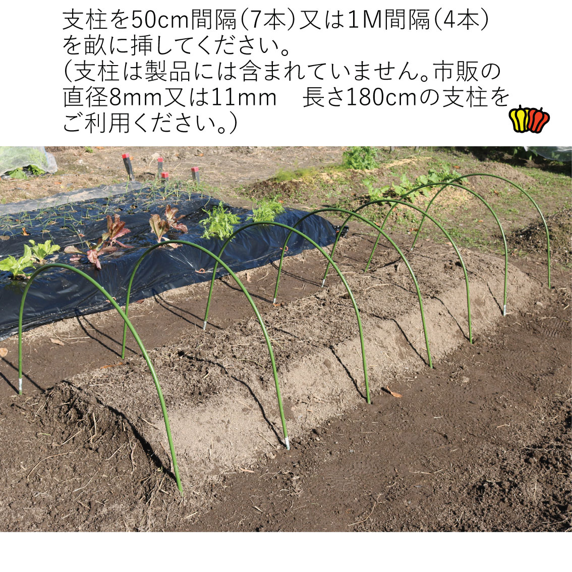 菜園用らくらく防虫ネット3M（作業窓3カ所）画像