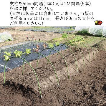 菜園用らくらく防虫ネット4M（作業窓4カ所）画像
