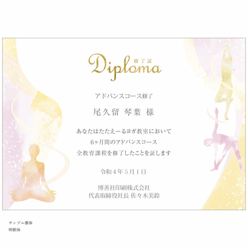 0049-YO（ディプロマ専用）の画像