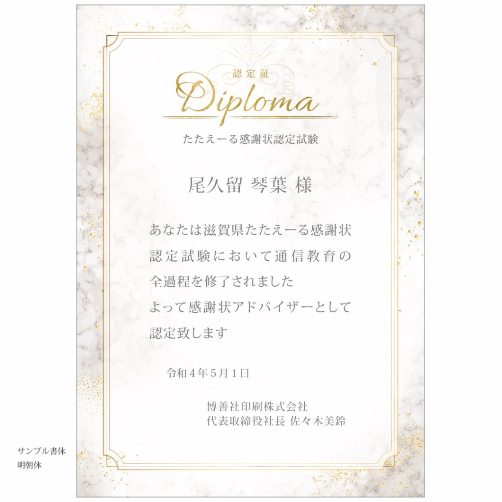 0054-TA（ディプロマ専用）の画像