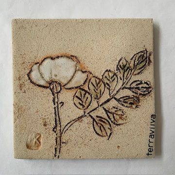 Flowerの画像