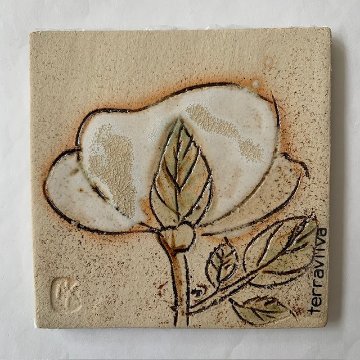 テラヴィーバ - terraviiva | 北欧フィンランドタイル