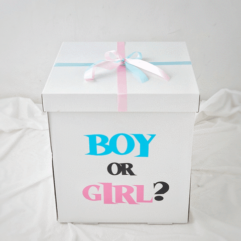 【セット】ジェンダーリビールボックスの画像