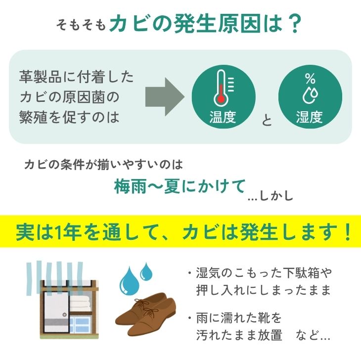 コロンブス カビ用ミストの画像