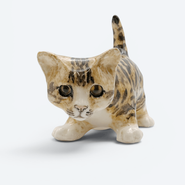 ウィンスタンレイキャット ベンガル風スポッテッドタビーキャット サイズ3 ケンジントンキャットの画像