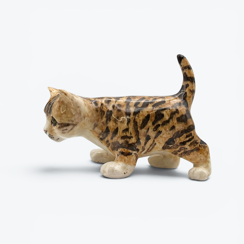 ウィンスタンレイキャット ベンガル風スポッテッドタビーキャット サイズ3 ケンジントンキャットの画像