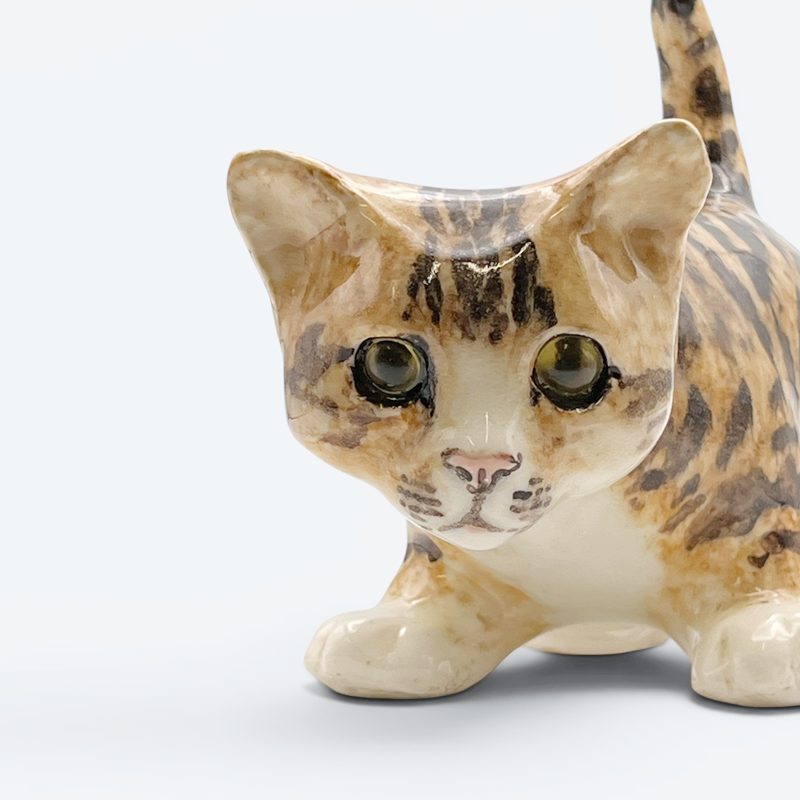 ウィンスタンレイキャット ベンガル風スポッテッドタビーキャット サイズ3 ケンジントンキャットの画像