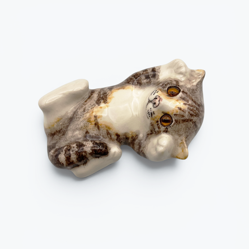 ウィンスタンレイキャット ごろんポーズキジサバトラ白猫　ケンジントンキャット Winstanleyの画像