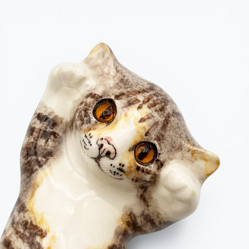 ウィンスタンレイキャット ごろんポーズキジサバトラ白猫　ケンジントンキャット Winstanleyの画像