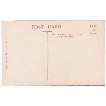 未使用 猫のアンティークポストカード チェシャ猫　1900初期 Hugo & Lang Co,.の画像