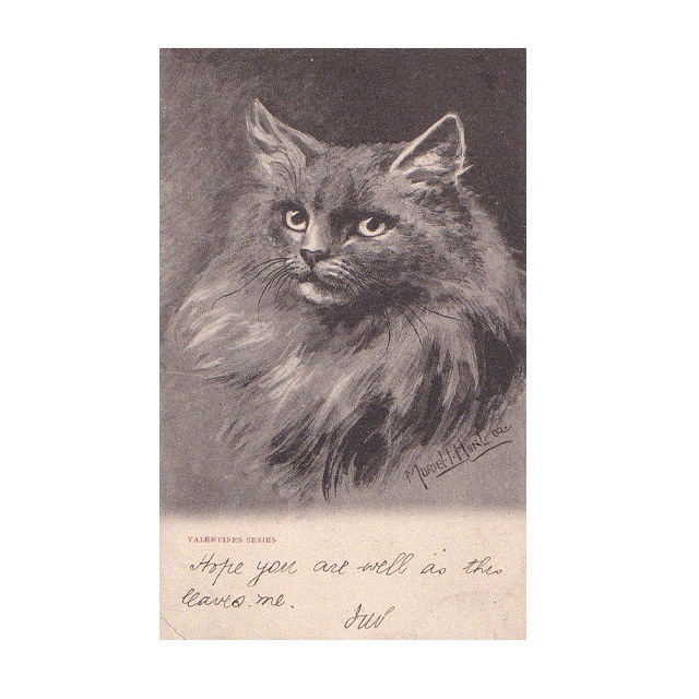 猫の肖像画のポストカード　Muriel Hunt　Valentines Series 1905年の画像