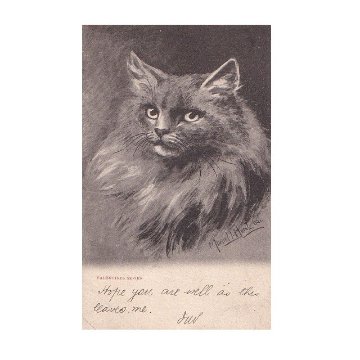 猫の肖像画のポストカード　Muriel Hunt　Valentines Series 1905年の画像